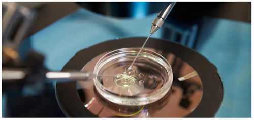 ²⁰²⁵/₀₄.₀₈ᵕ̈ 朋友圈早安文案，情绪好，运气好，一切都好