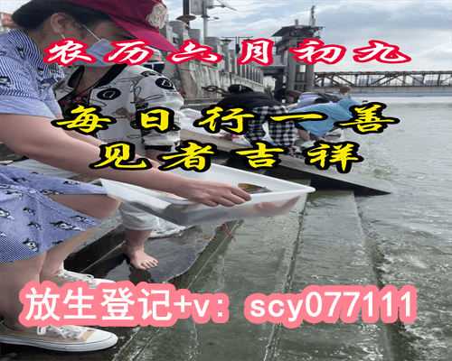 紫微斗数天相坐命2025乙巳运势