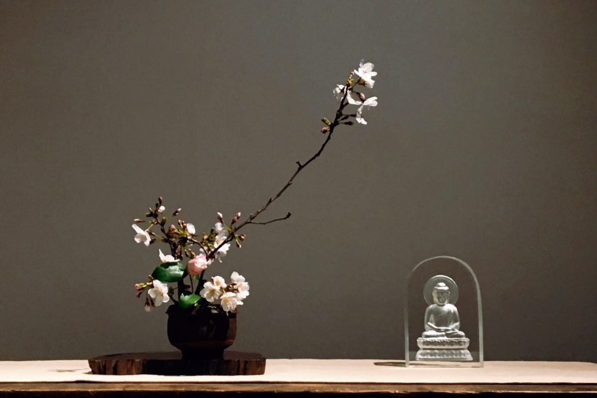 4月24日星座运势TOP4：金牛吸金力爆发，水象深度疗愈！