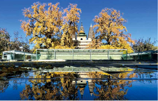 生肖羊三月运势大揭秘：抓住这几点，逆袭成赢家！*