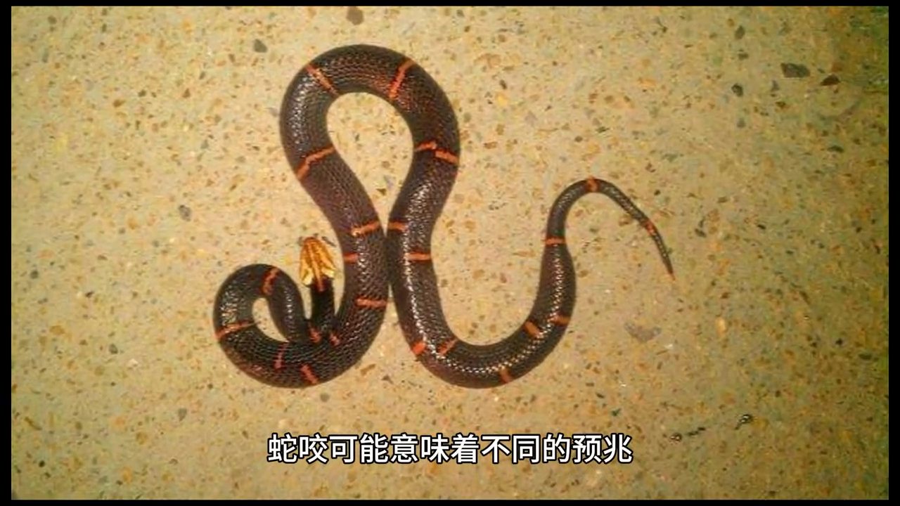 国学八字—命主婚姻的早晚如何看？