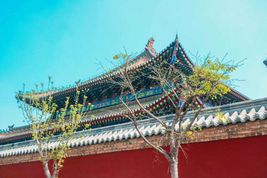 神叨酱：水瓶座八月运势，有旧情复燃可能，稳稳的收入不错。