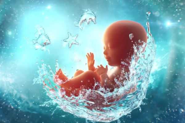 1969年属鸡出生在不同月份的运势详解