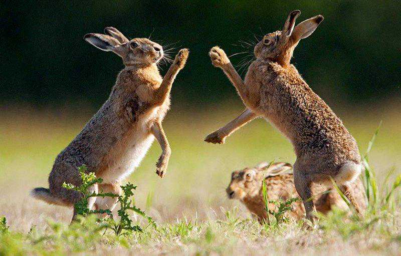 五行属火的人特征全解析