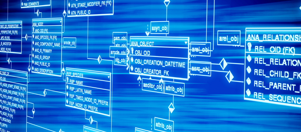 八字谈神煞:驿马  ——她将一生海外漂泊
