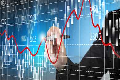 金钱树和龙血树，谁才是风水大师心中的‘旺财神器’？